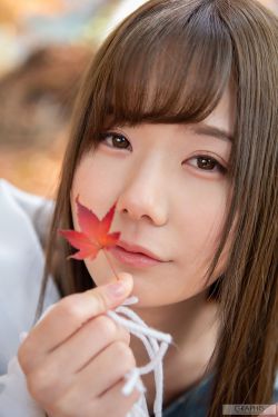 代号十三钗